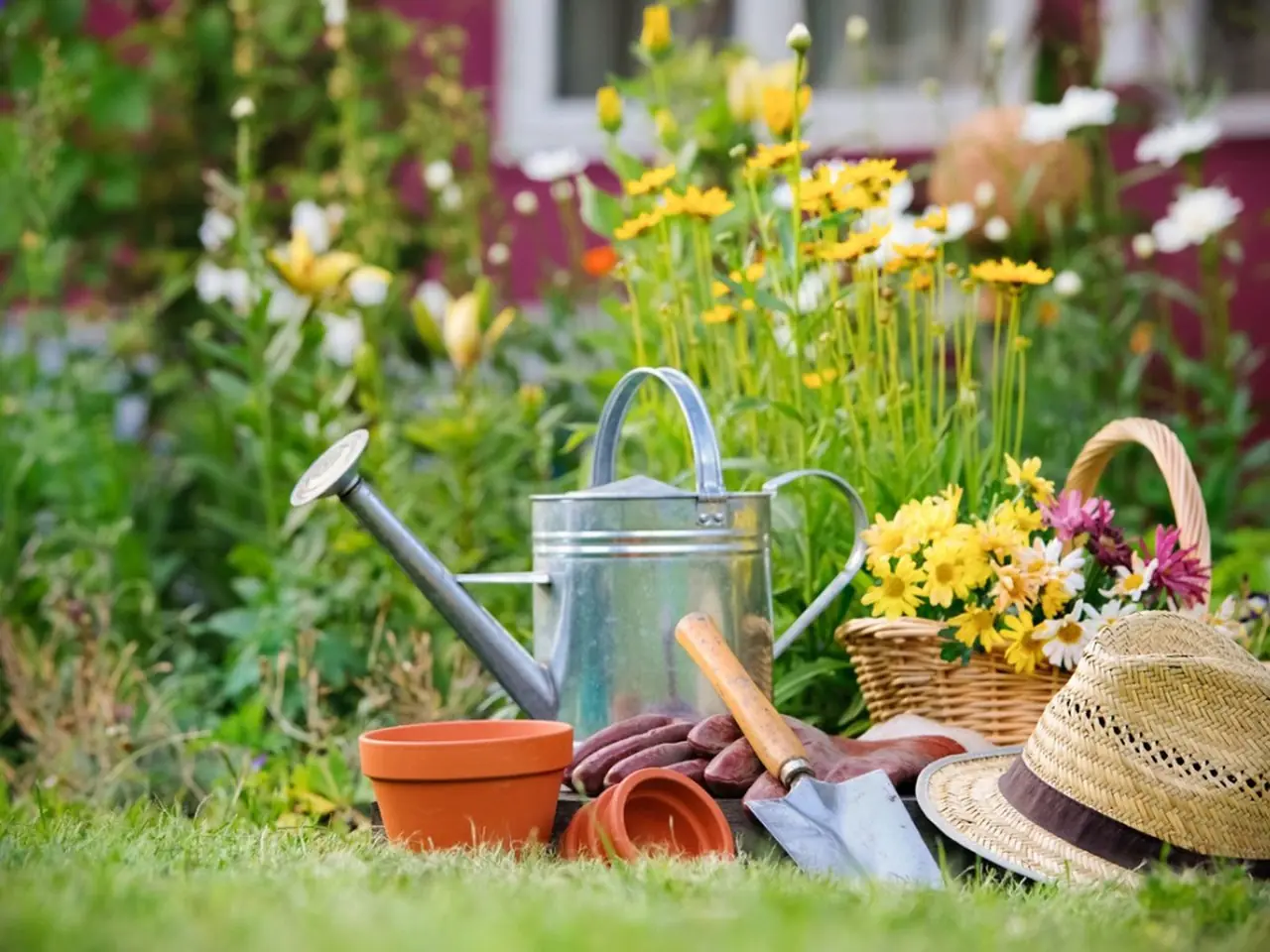 A watering can, terracotta pots, gardening tools and a basket of flowers in a garden