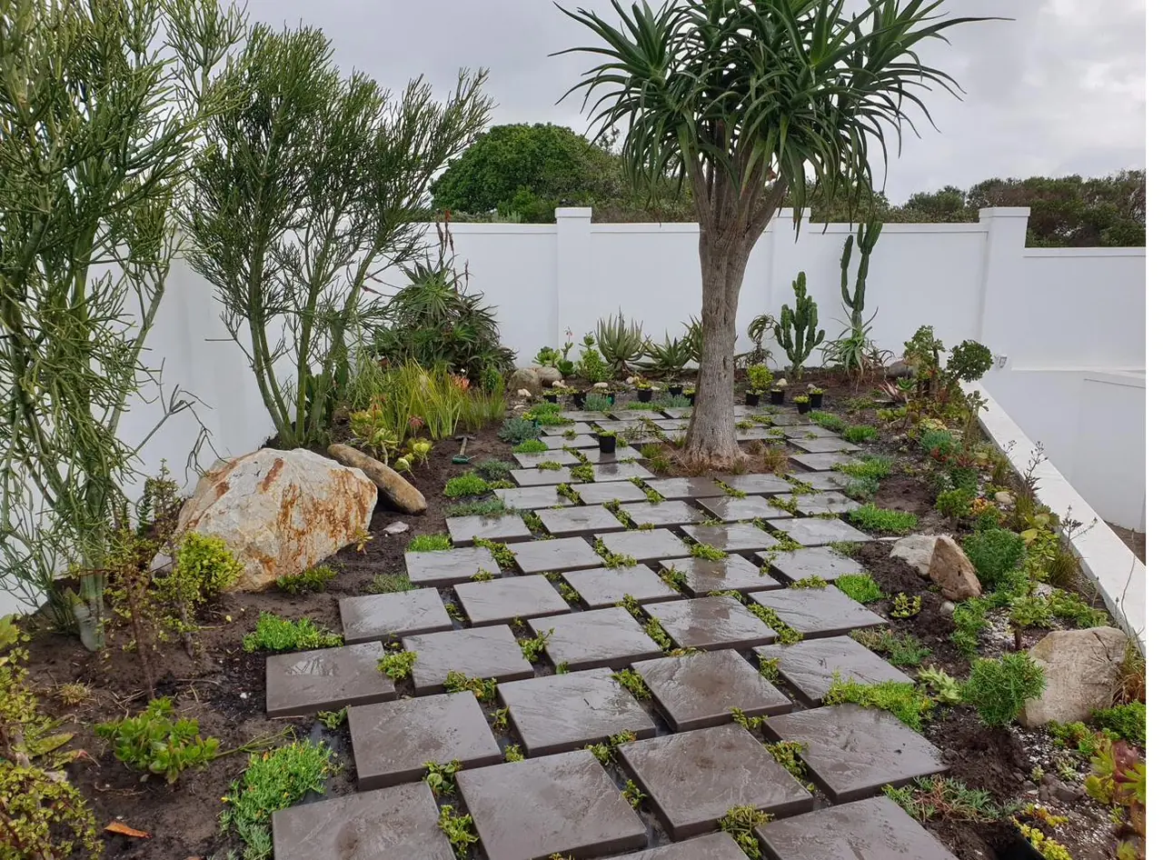 Water-wise coastal garden with succulents, aloes and natural stone