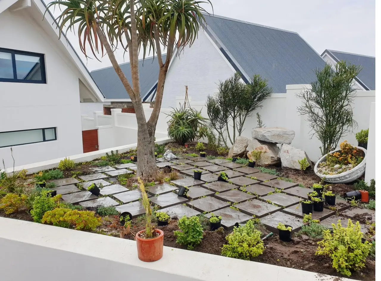 Completed residential coastal garden with paving and water-wise planting in St Francis Bay