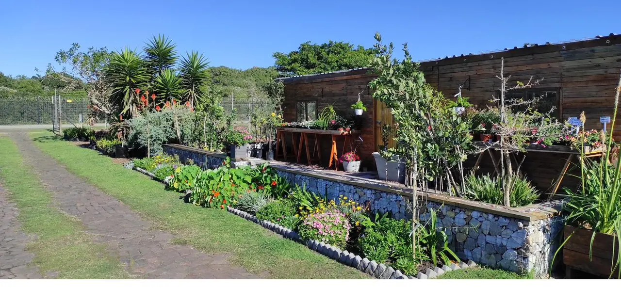 The Farmyard Nursery outdoor display with colourful plants and timber building in St Francis Bay