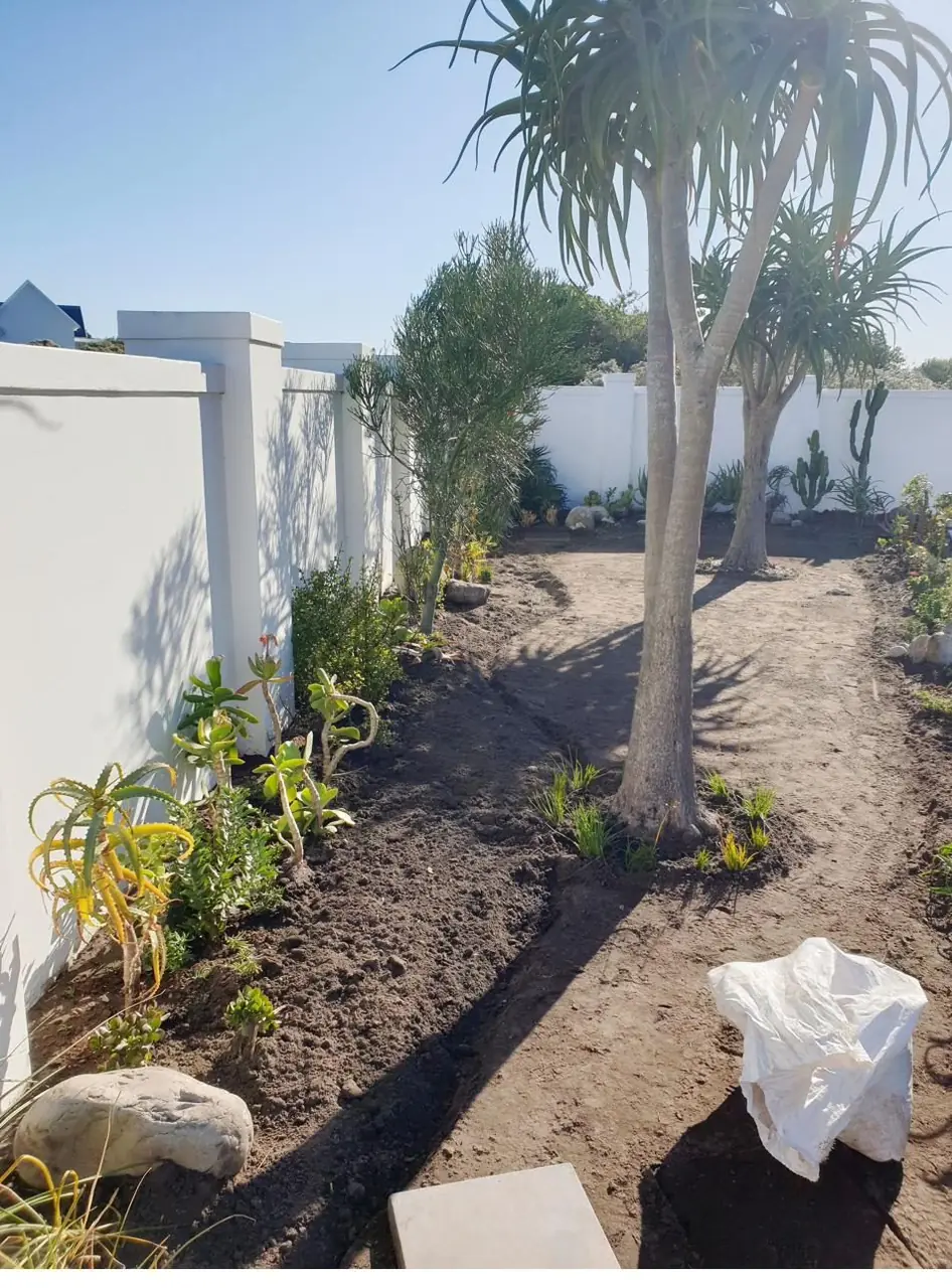 Bare entrance courtyard before landscaping, with white boundary walls and existing tree aloes